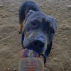 Sadie Girl photo 3