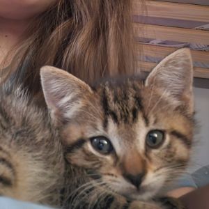 Elffie, Baby Female unknown