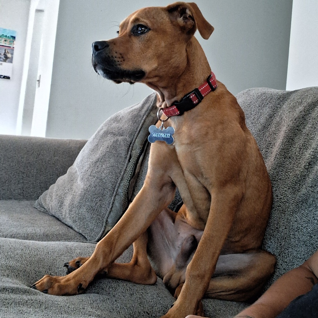 Max