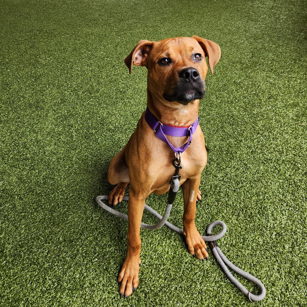 Max