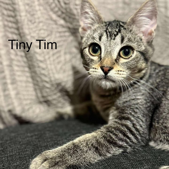 Tiny Tim