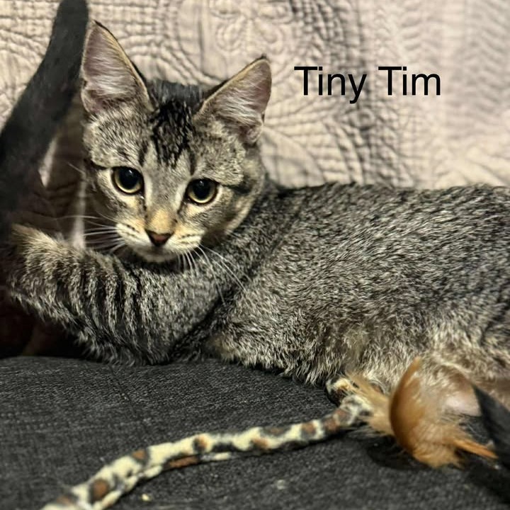 Tiny Tim