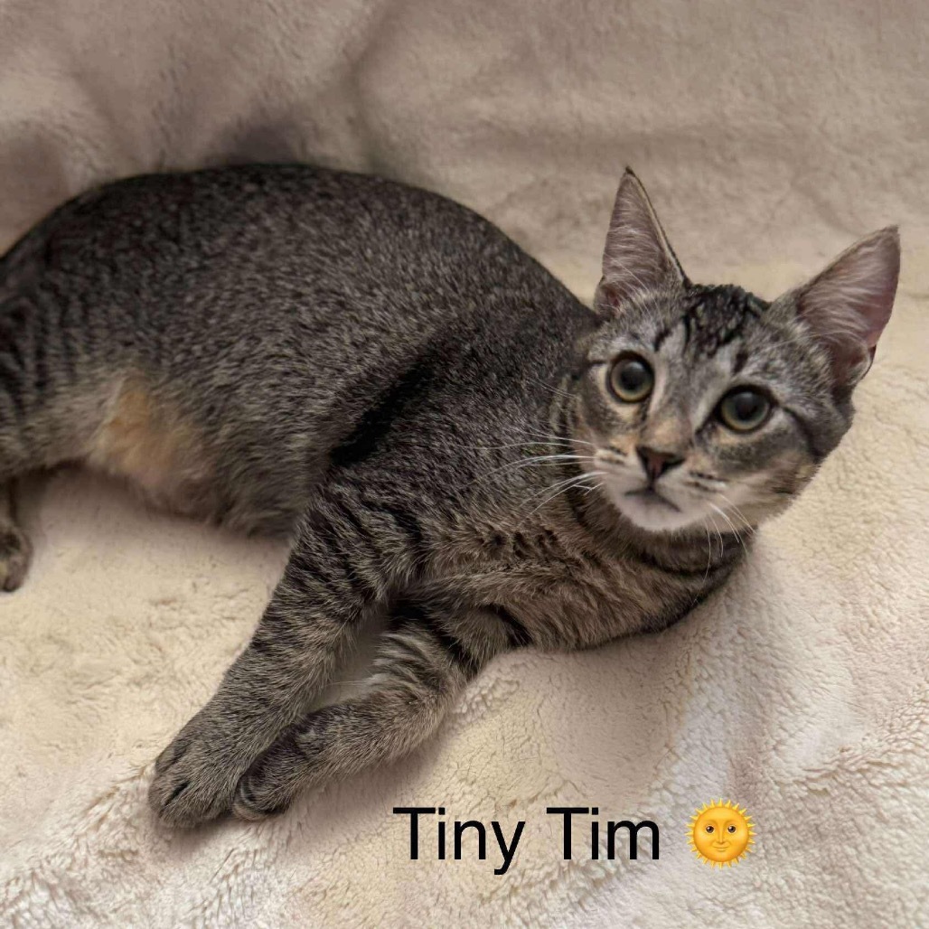 Tiny Tim