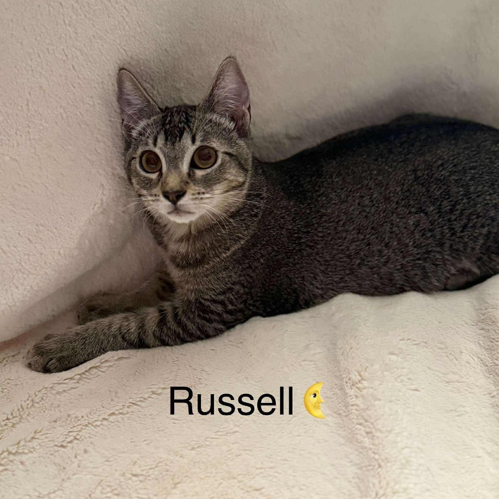 Russell
