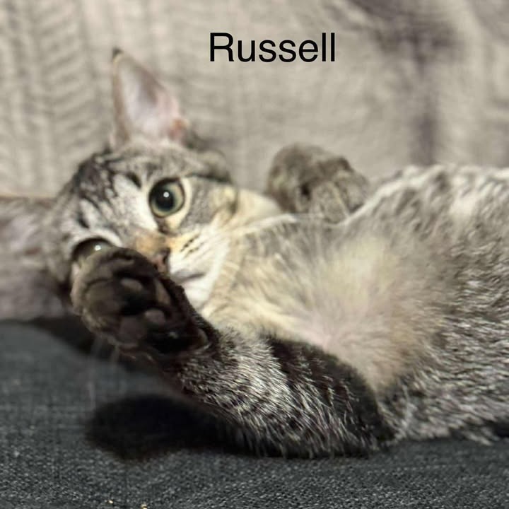 Russell