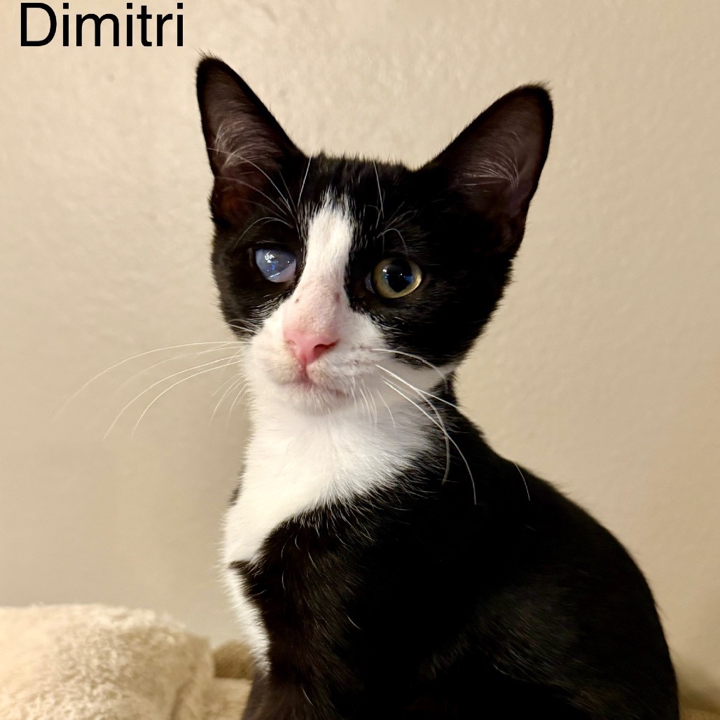 Dimitri