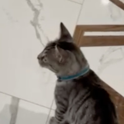 Felix Vu