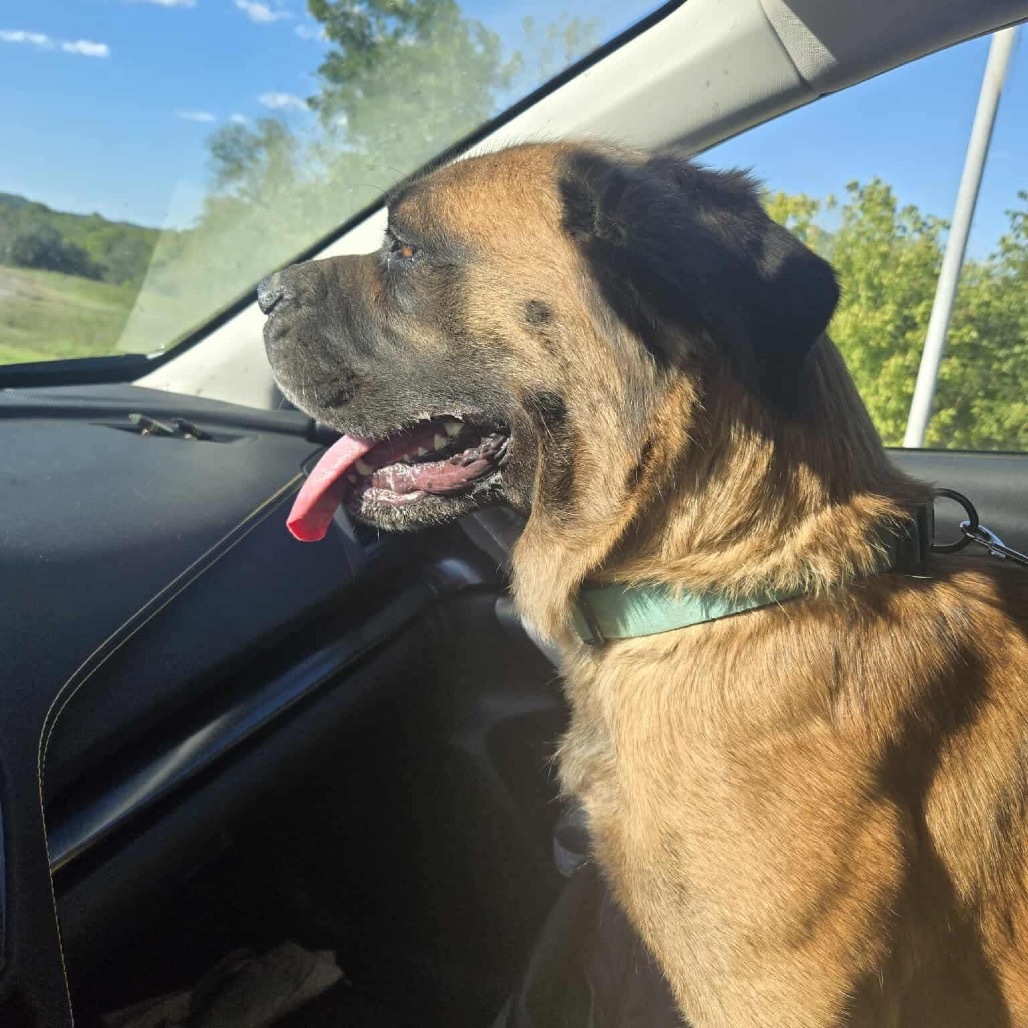 Roxy
