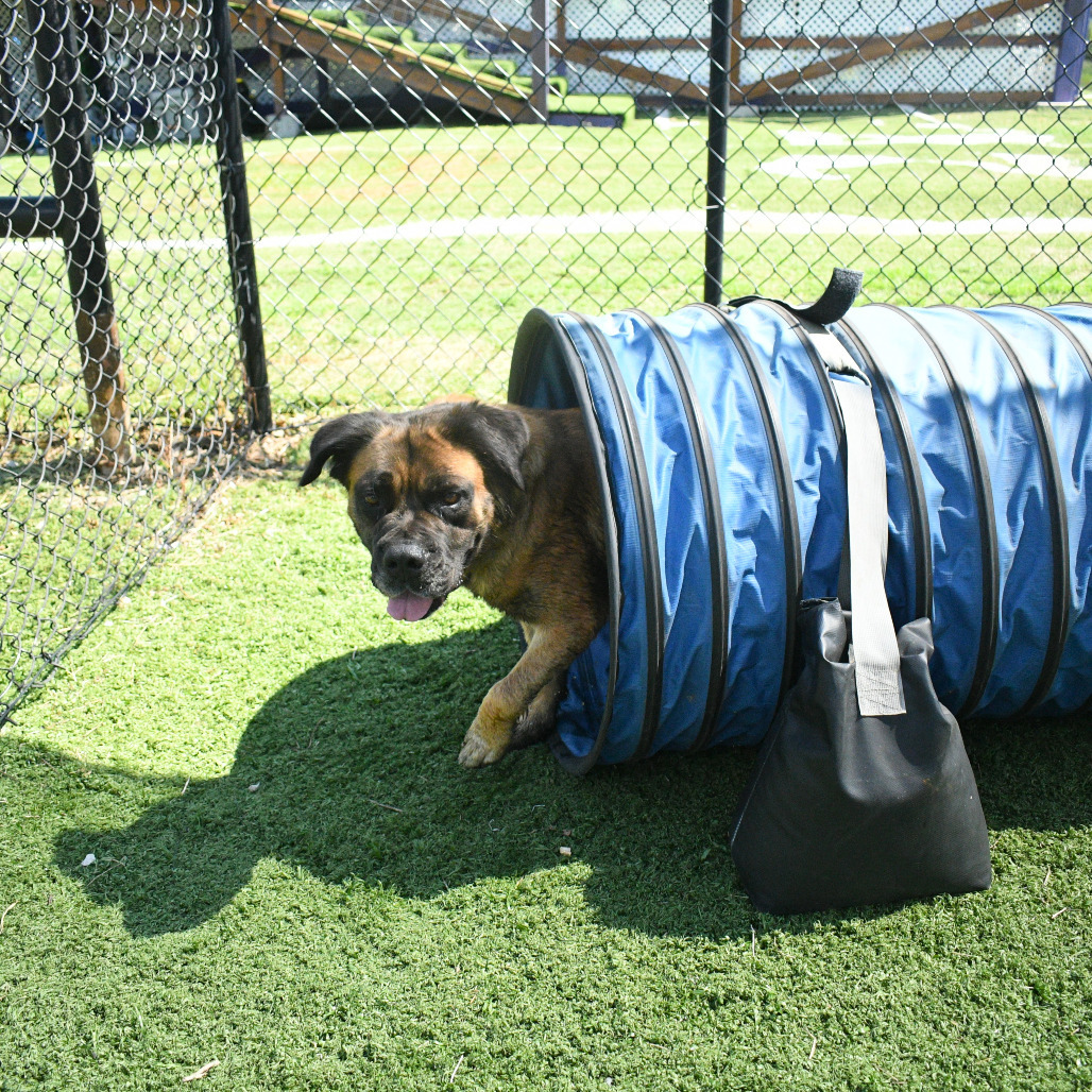 Roxy