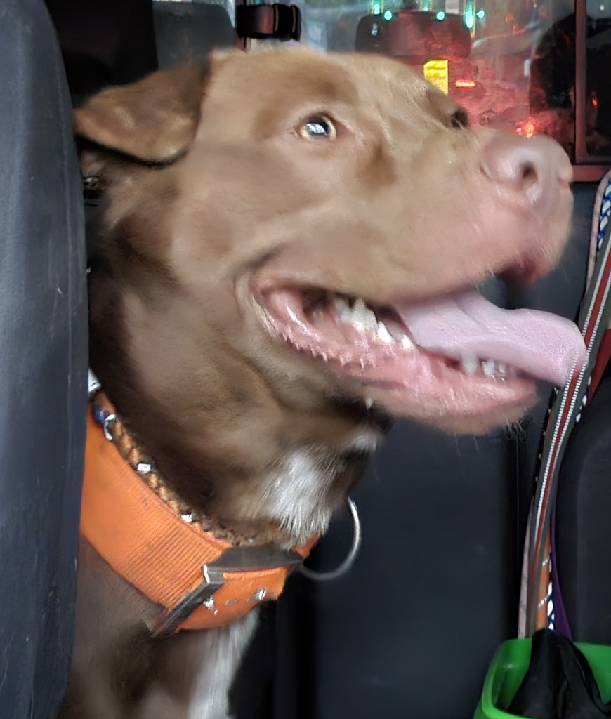 Danny aka "Moose