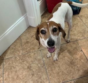 LULU, Senior Female unknown