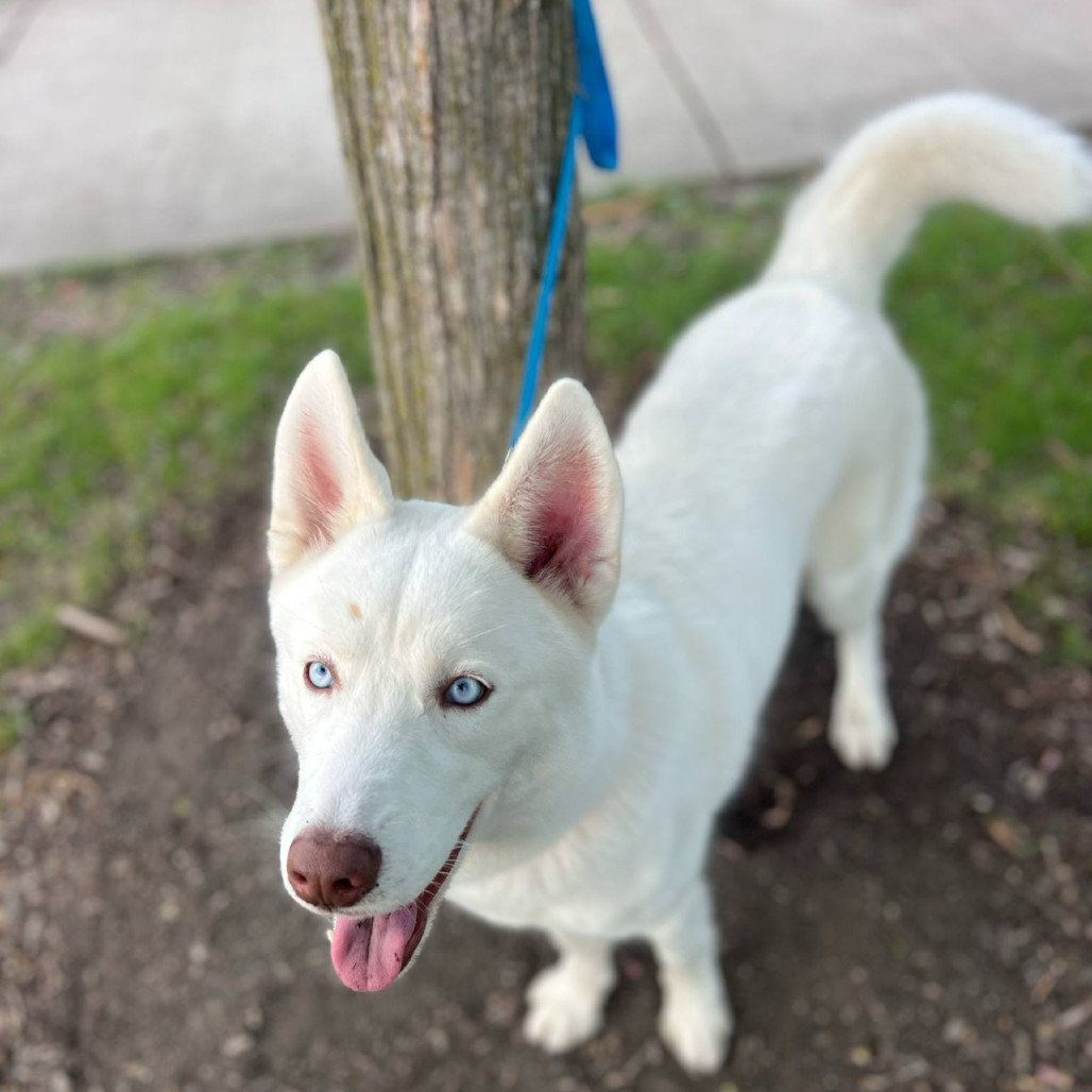 Zeus - Home to Home