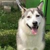 Sasha photo 3