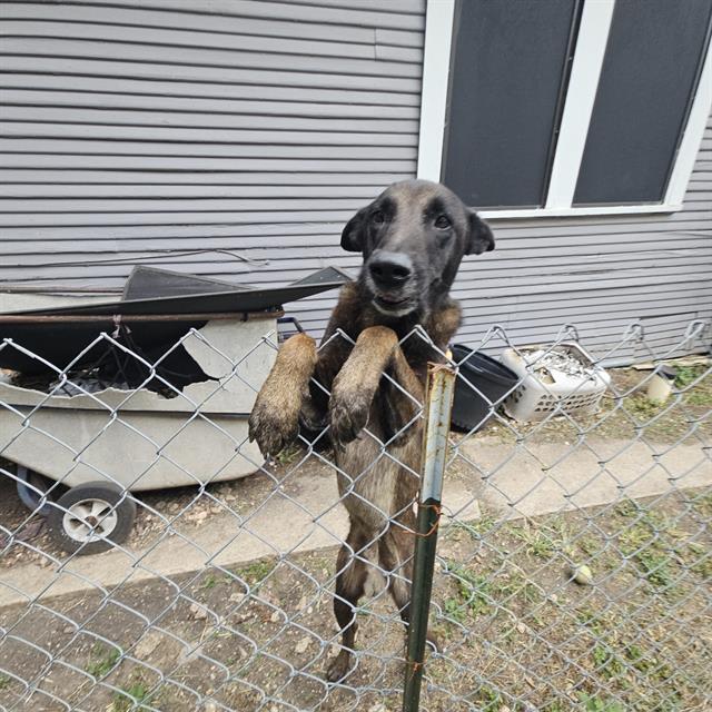 KAPONE