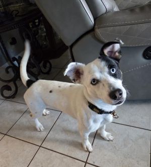 PETEY GARCIA, Young Male unknown
