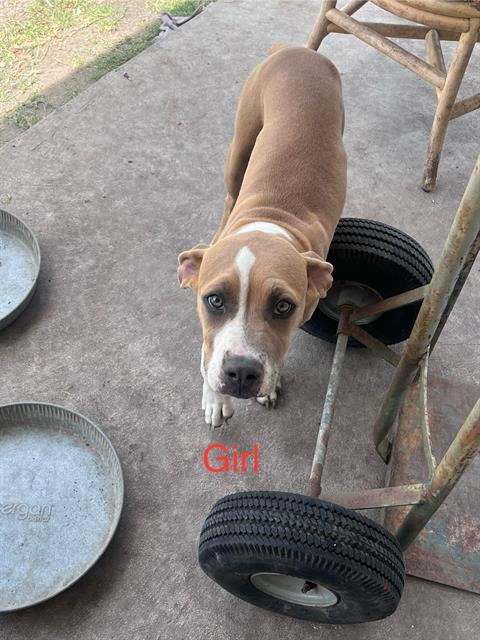 GIRL