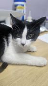 Ethel (Bonded to Lucy) photo 1