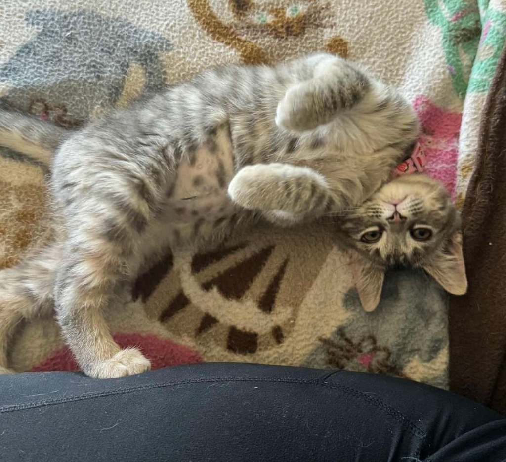 Pixel