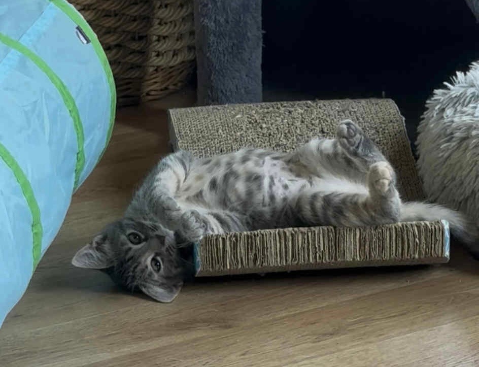 Pixel