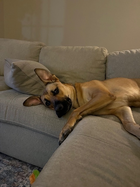 Strudel