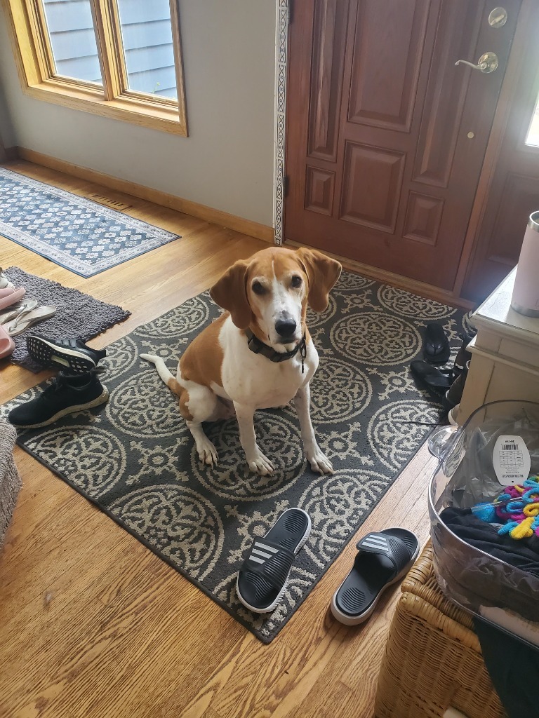 Copper