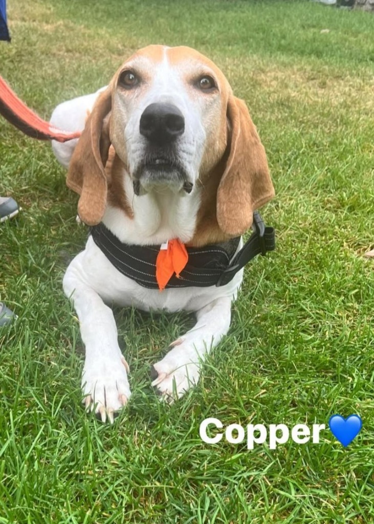 Copper