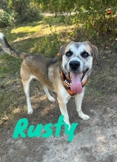 Rusty 125152