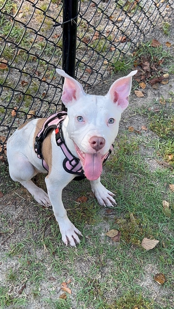 Coco