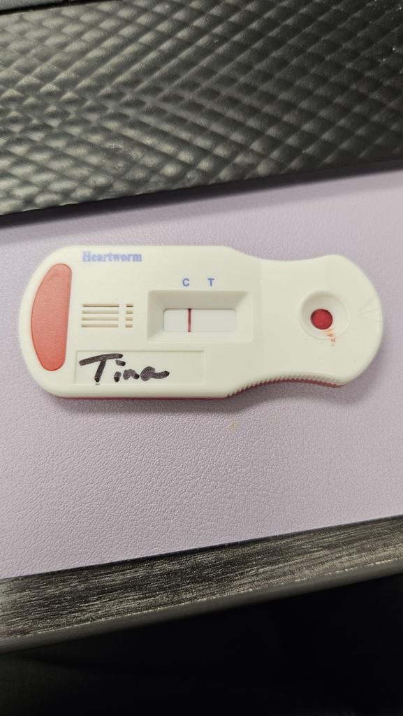 Tina