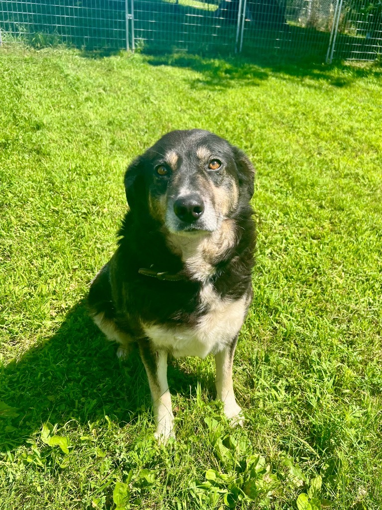 Lucy