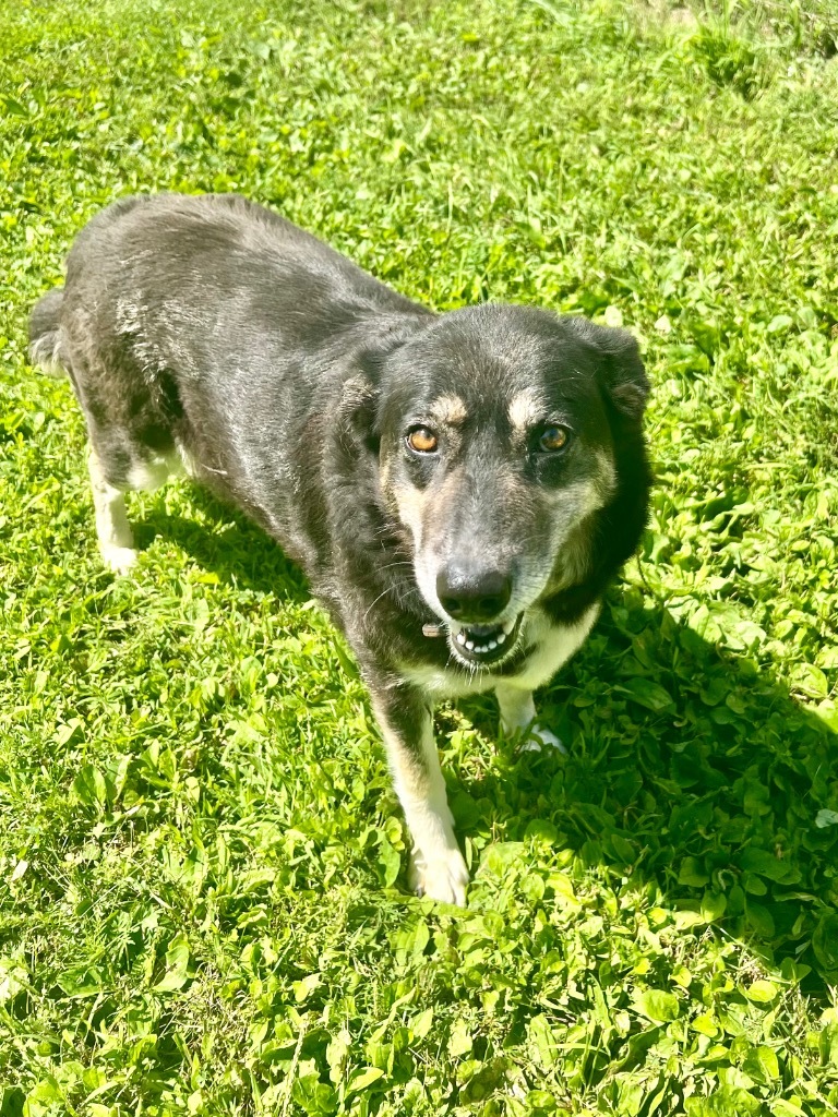 Lucy