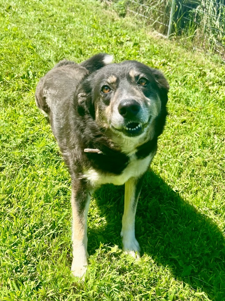 Lucy