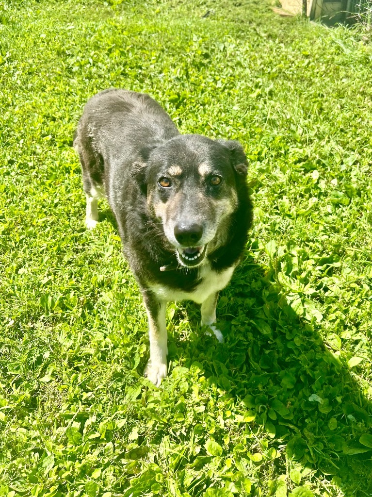 Lucy