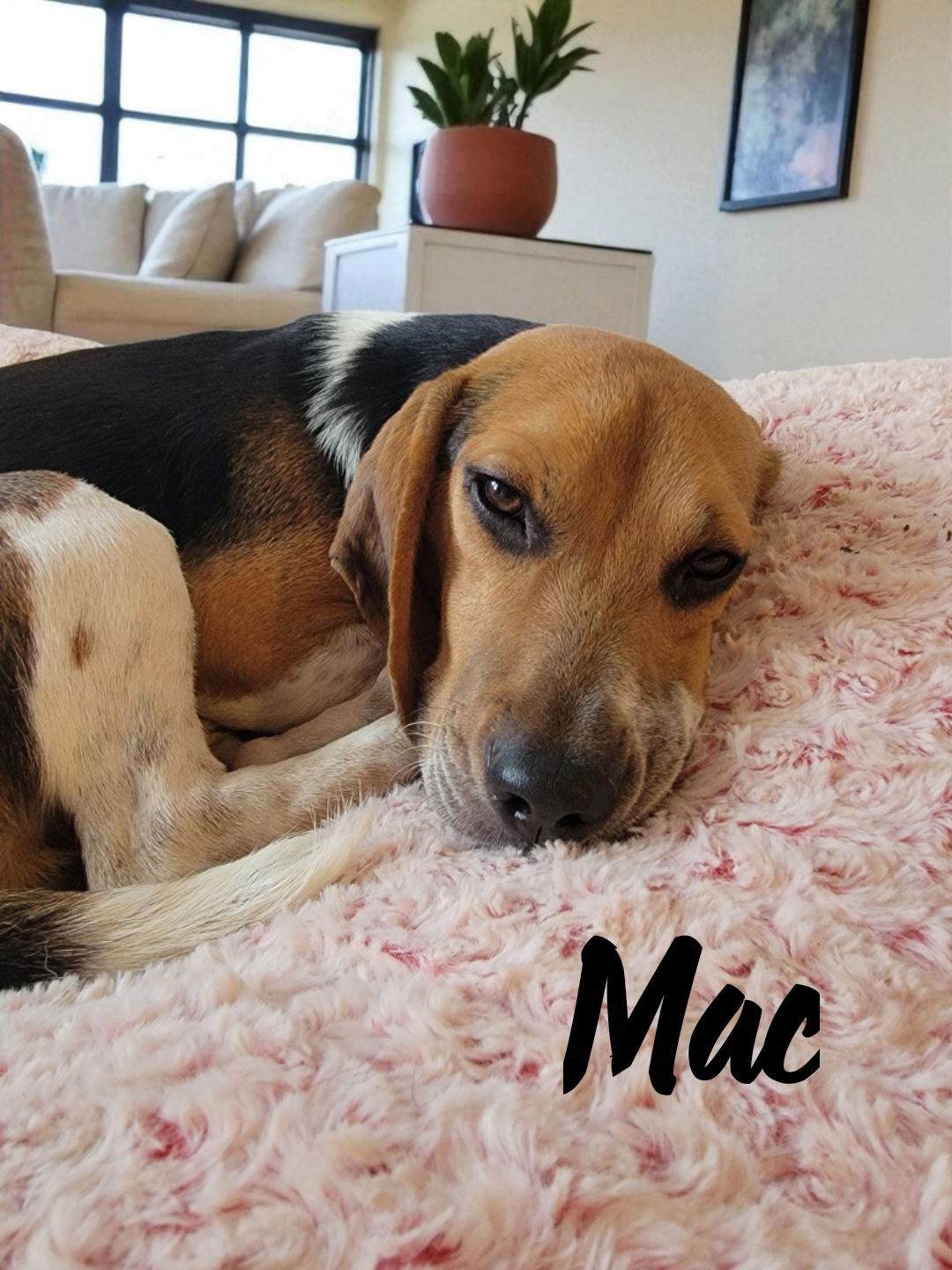 Mac