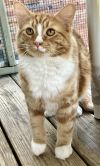 Max photo 2