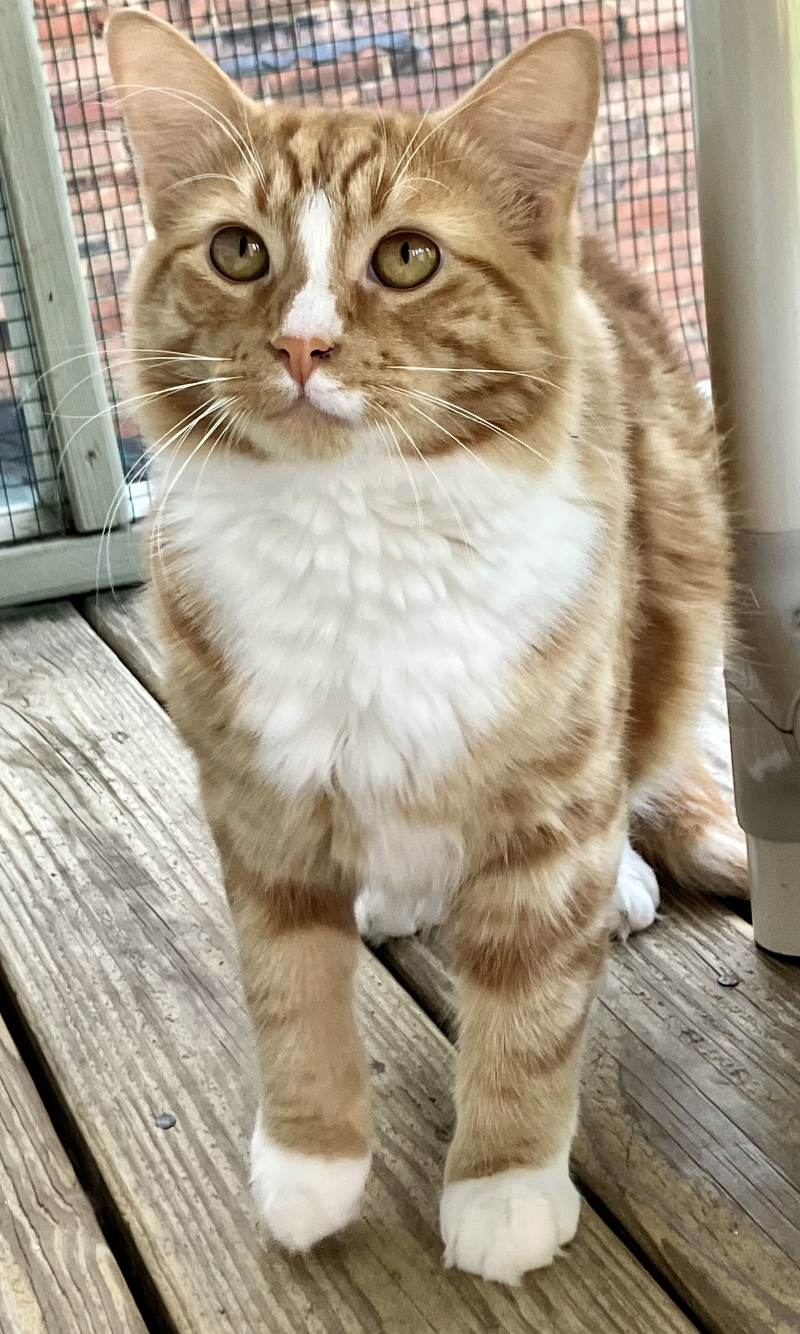 Max