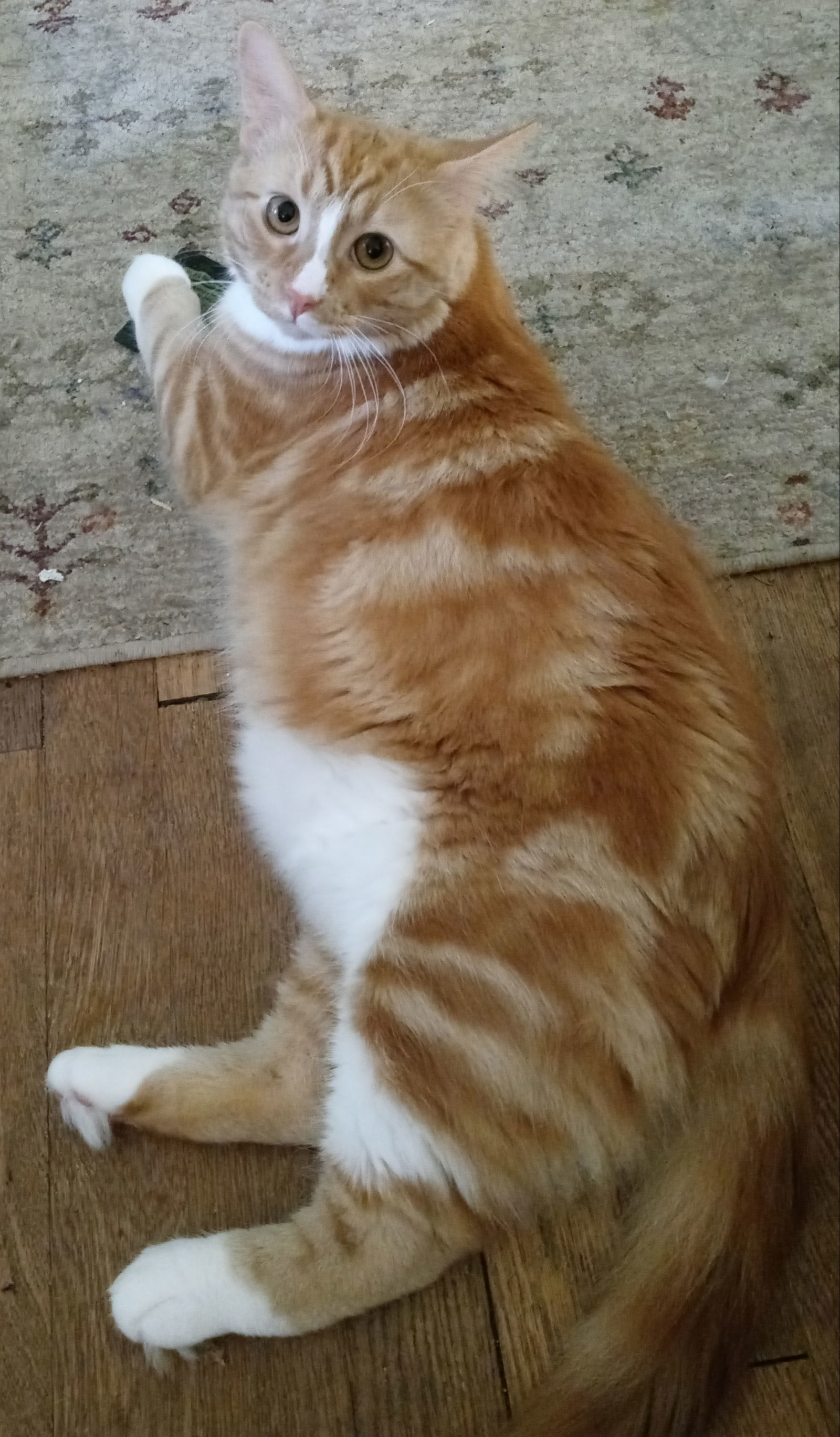 Max