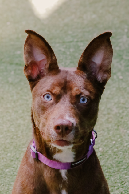 Skye