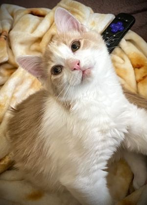 Marty McFly (LG), Baby Male unknown