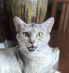 Gretta photo 2