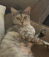 Gretta photo 5