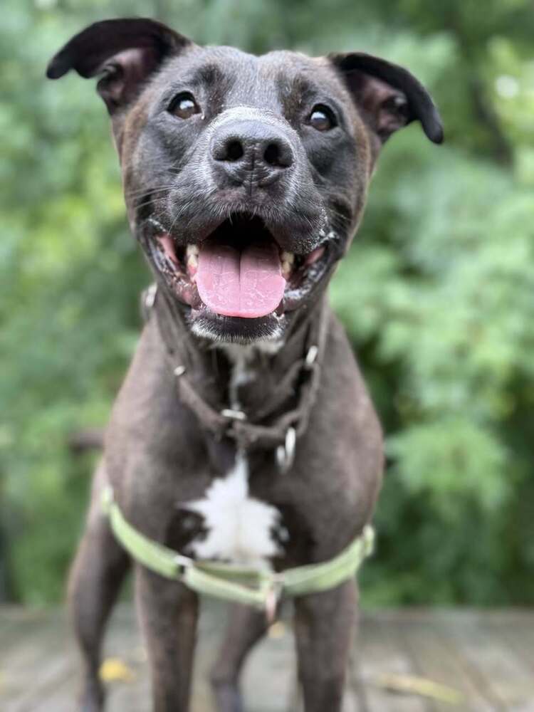 Gus