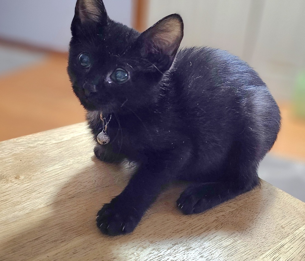 Henry
