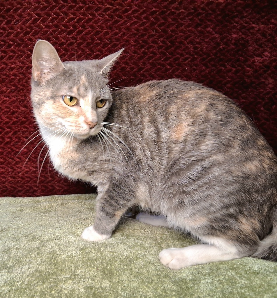 TILLY