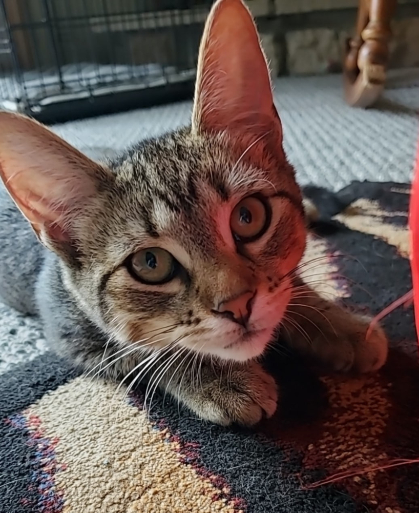 Sally