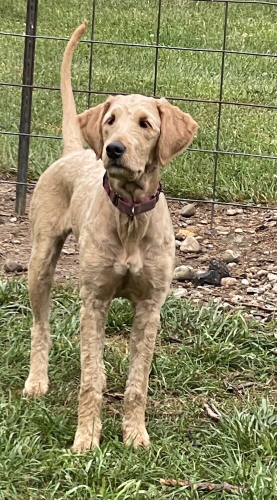 Lola Mae