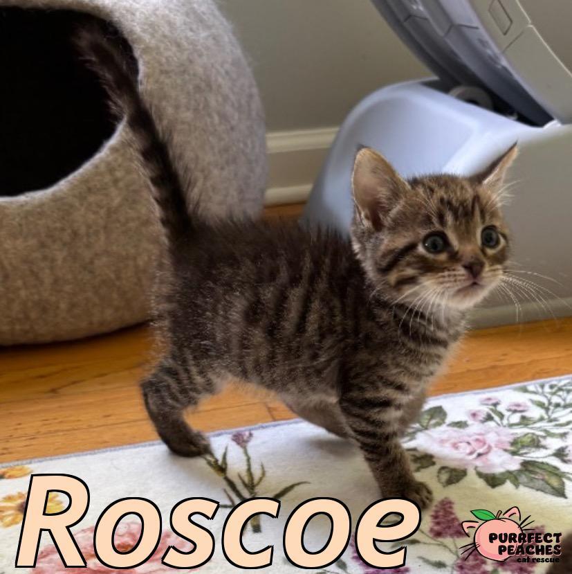 Roscoe