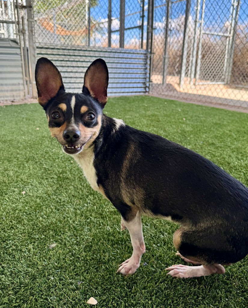 Chico