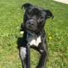 Truman photo 4