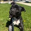 Truman photo 5